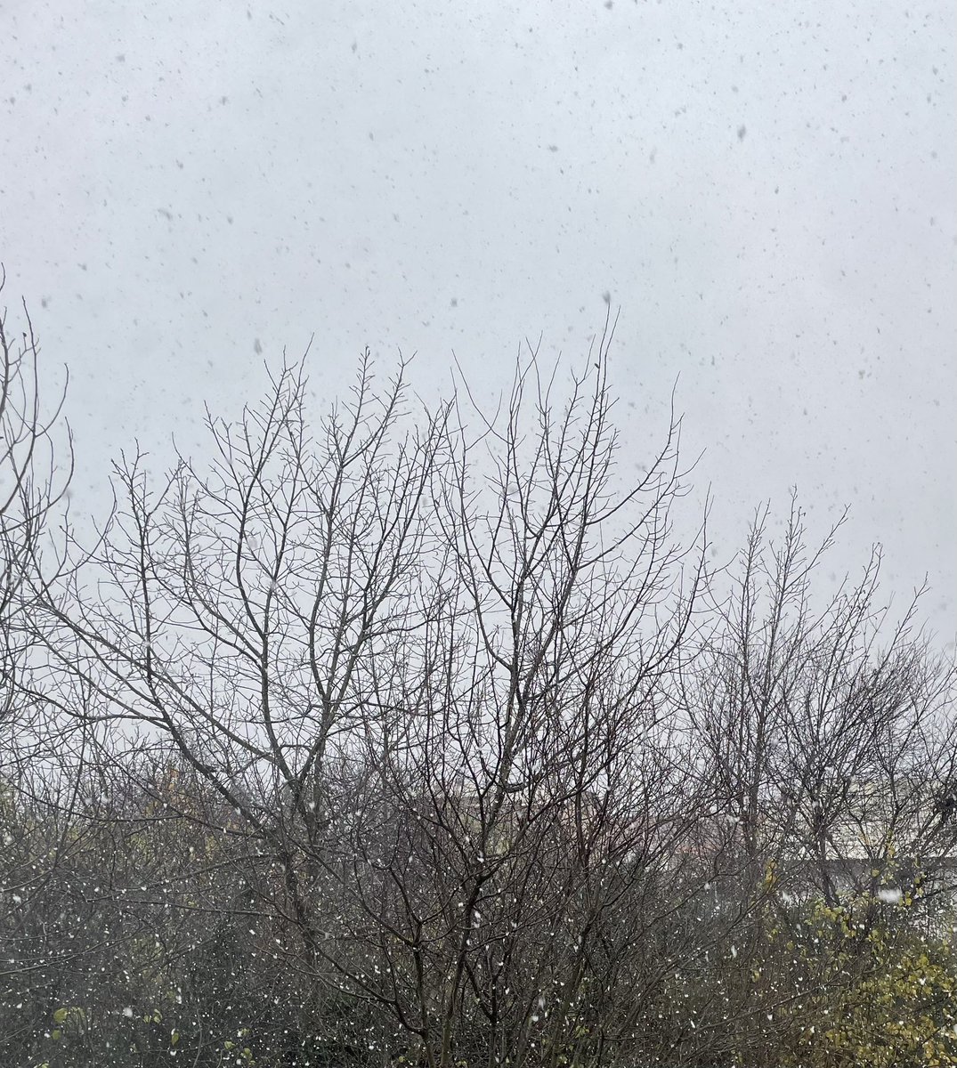 marmara bolgesi icin yar vakti ay pardon kar