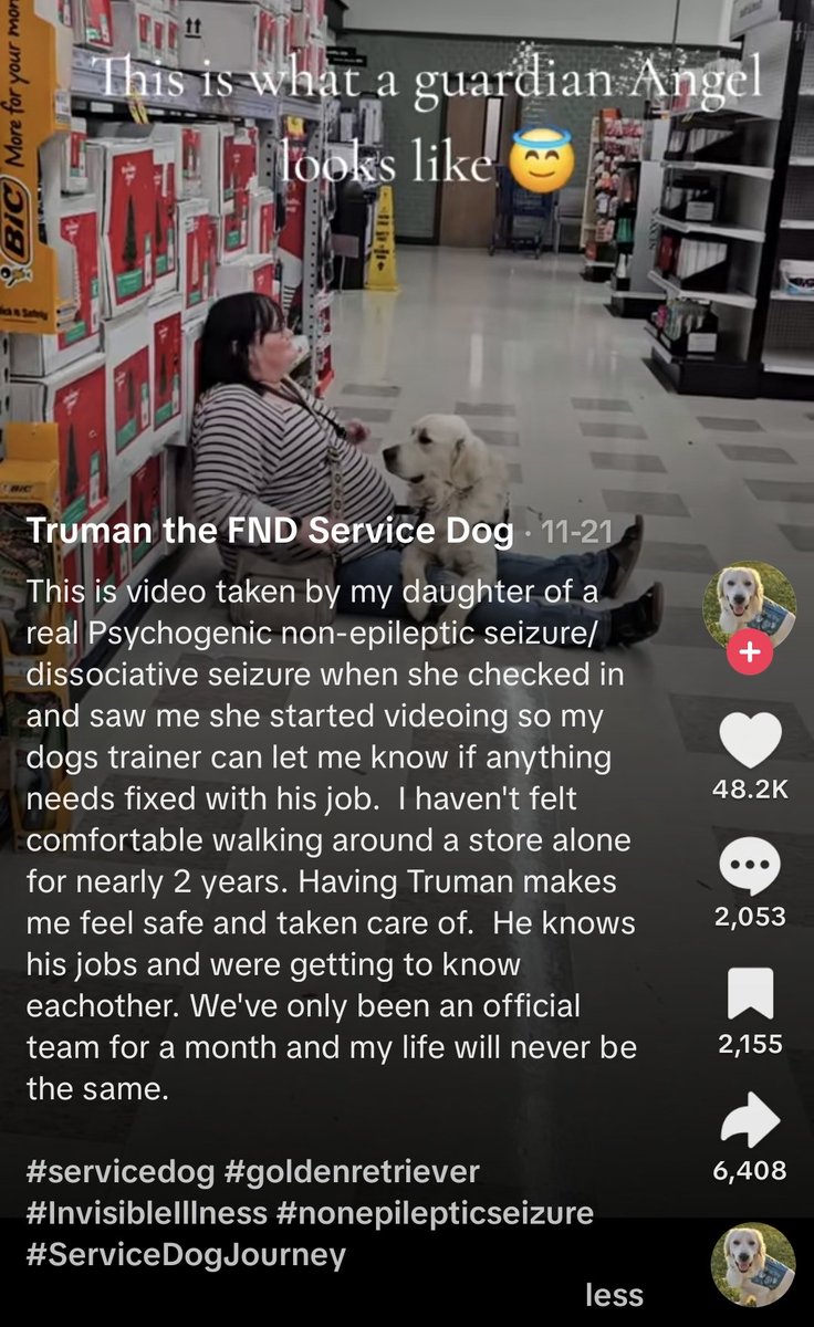 ikalenz's tweet photo. @WrenchOfChaos @DreamLeaf5 She's not just training the dog, she claims this is an actual seizure in the first 2 lines of the description https://t.co/fyZ1UDGbYu