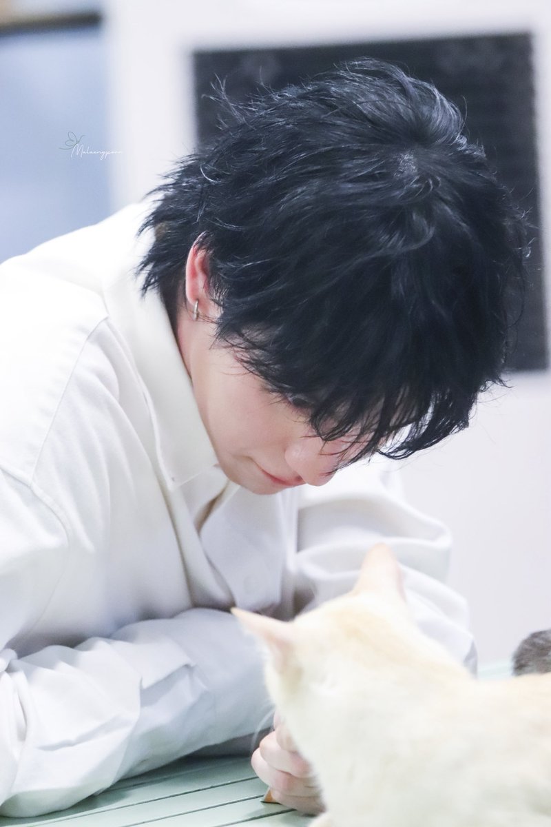 น้องเหมียวหม่ำๆ หม่ำๆกู้ดบอยยยย😻

#28thBrightDay
#HappyBRIGHTDay
#BRIGHT28Birthday
#bbrightvc <a href="/bbrightvc/">bright</a>