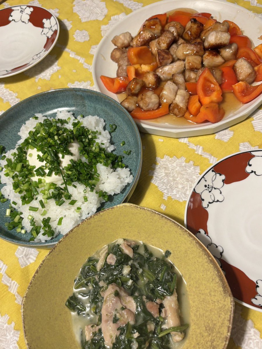 若者向けに若々しく、肉々しい本日のごはん