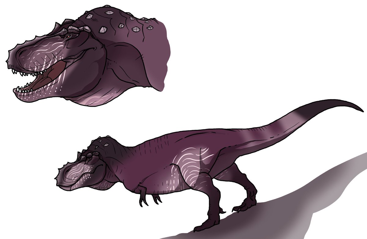 Bull.Falcon (@FalconBull) / Posts / X