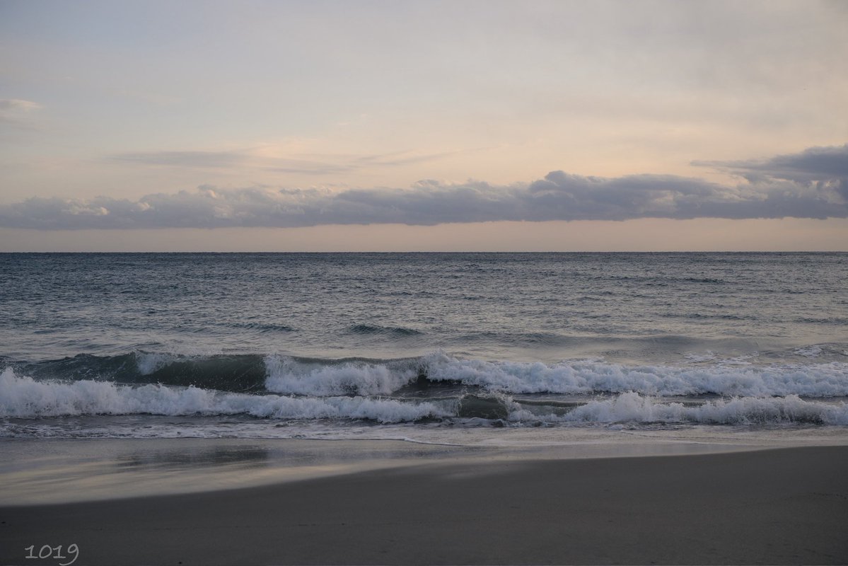 mataemon16's tweet image. 