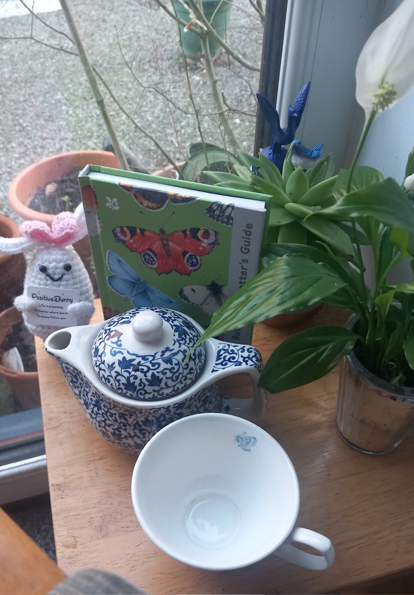 Fancy tea in my new teapot