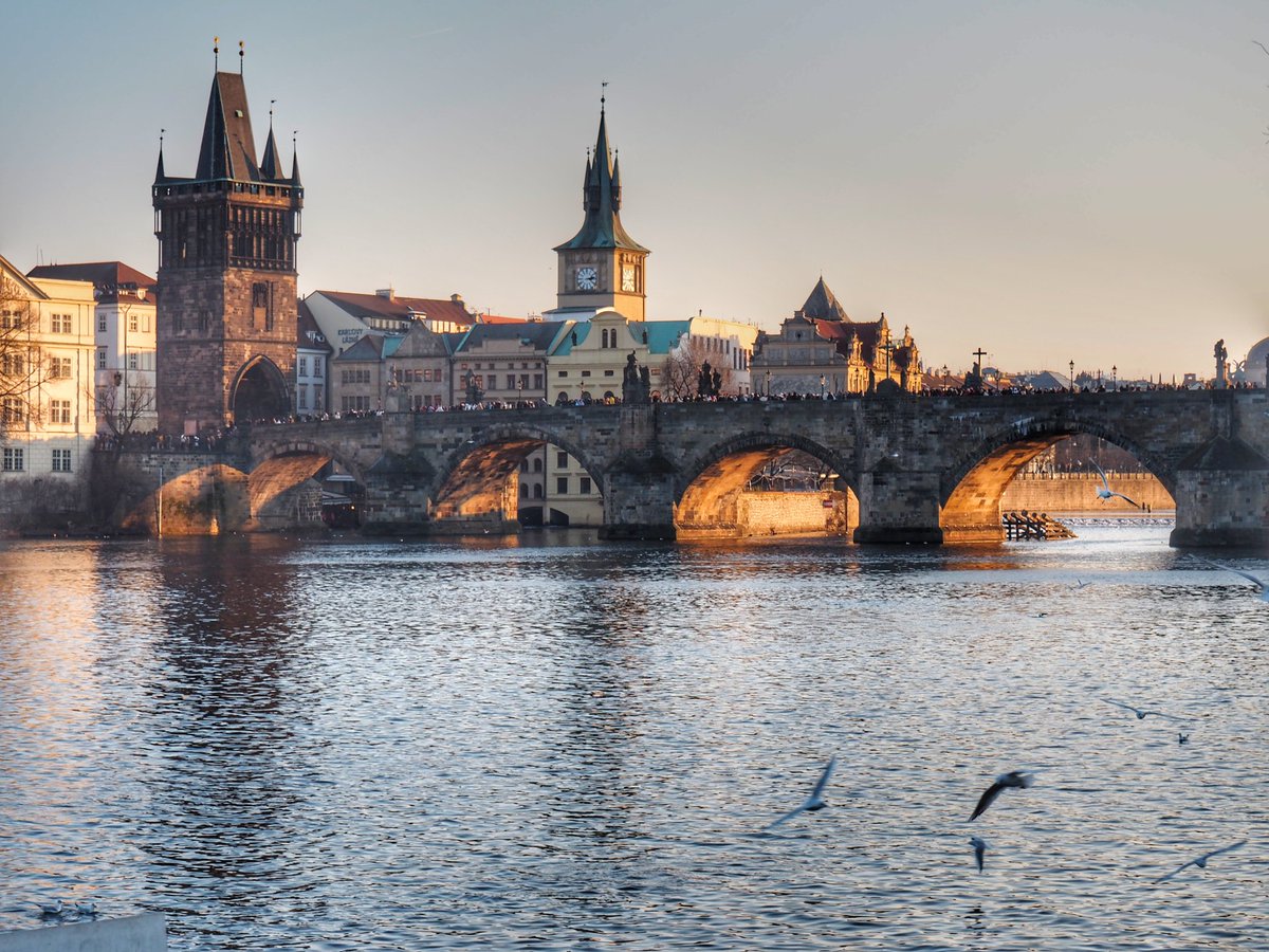 Hey Citizen tweet media