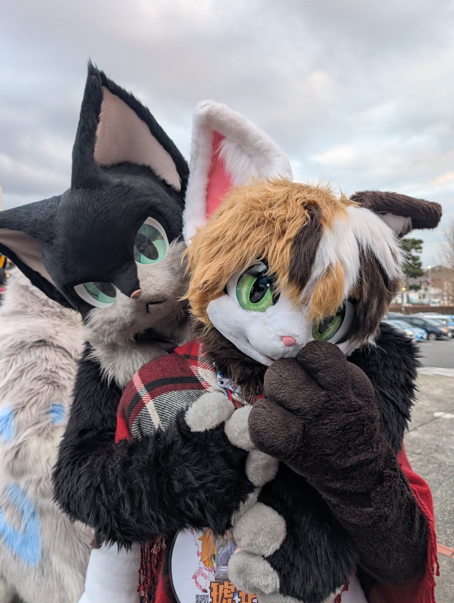 Skyken (@skyken_katana) / Posts / X