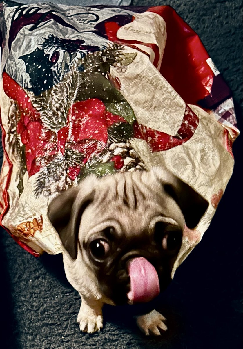 ᕼᗴᗩTᕼᗴᖇ ᖇᗩᗴ tweet media