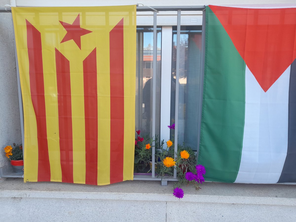 Si voleu detectar un sionazi nostrat i veure l'odi que porten dintre només heu de mostrar una bandera de Palestina
Els que volen Salvar Catalunya i només la volen enfonsar.