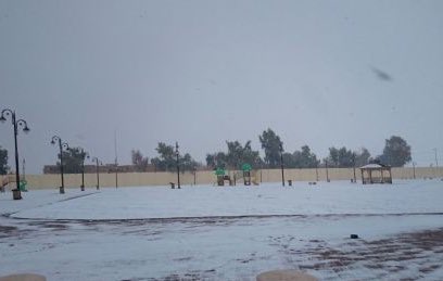 أخبار السعودية tweet media