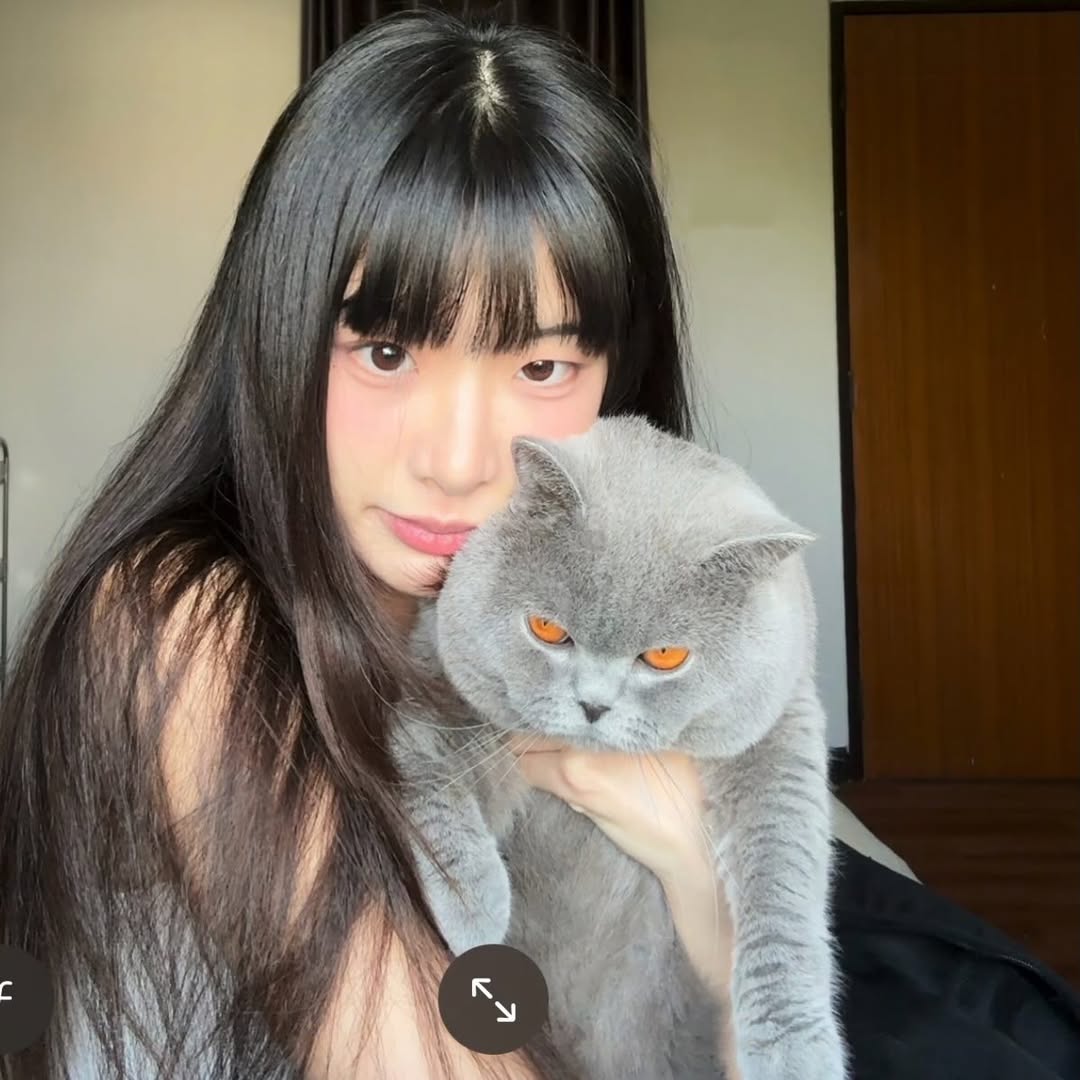 𔘓, 𝐵𝑒𝑛𝑧 tweet media