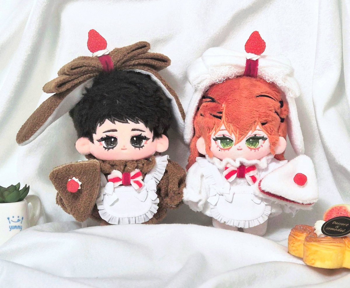 SLOW 침엽수 tweet media