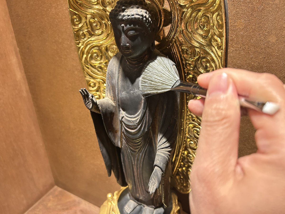 とらつぐみ (@midnight_bird09) / Posts / X