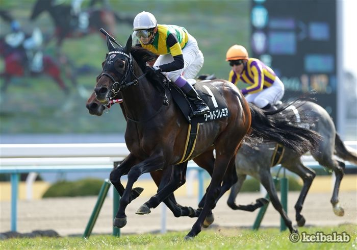 競馬ラボ tweet media