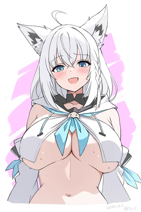 白上フ〇キの南半球