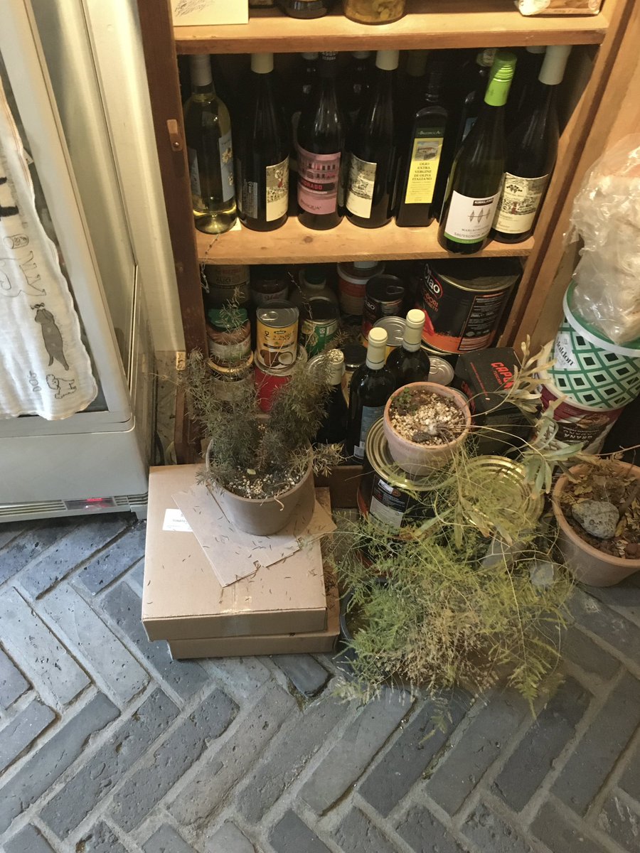 longwinter___'s tweet image. 여기 완전 아늑하고 짱귀여운 카페잖아 ;-; 너무 좋았어...