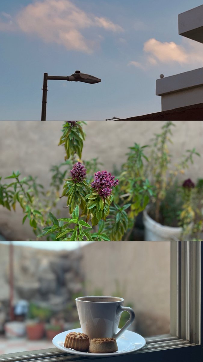 عصريّة السبت 🤍❄️.