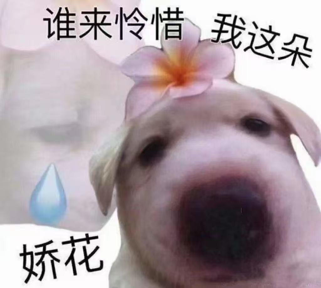 羊角小卷 tweet media