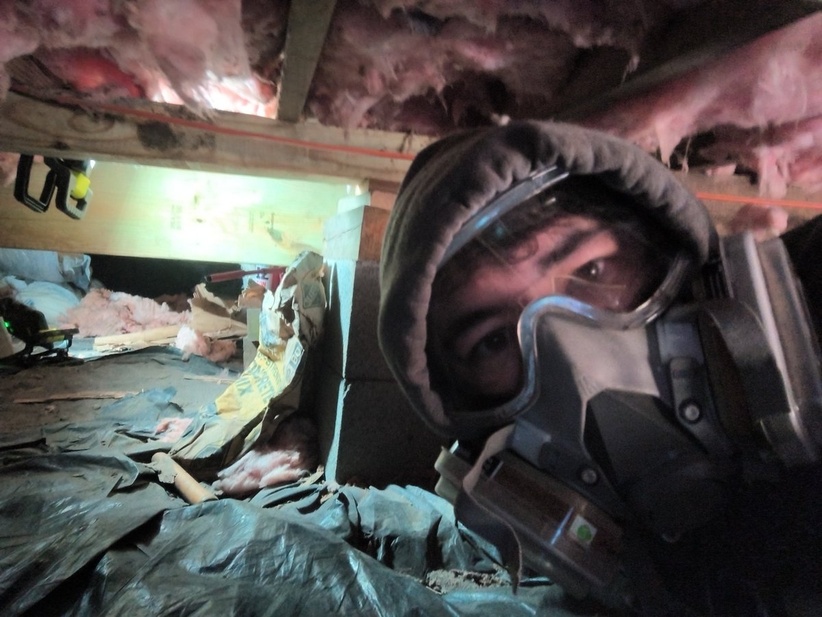 albert instein tweet media