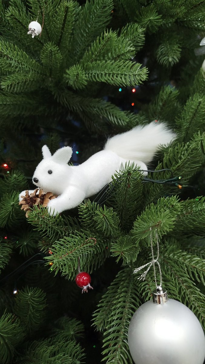 _ithil's tweet image. В нашей библиотеке на ёлочке есть корпоративные шарики и белочка
