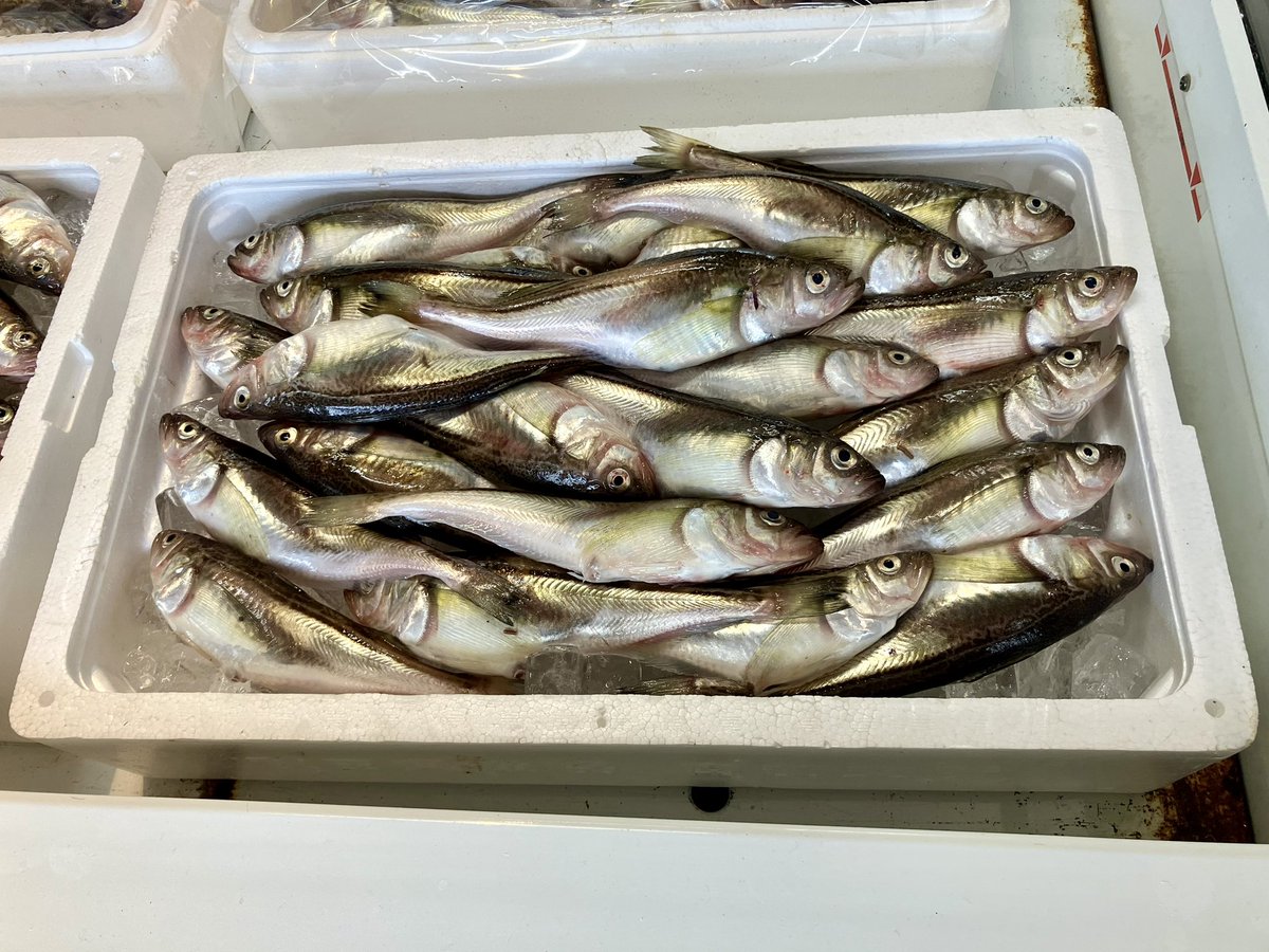 キミにかっこいい台詞を教えよう

「箱でくれ」