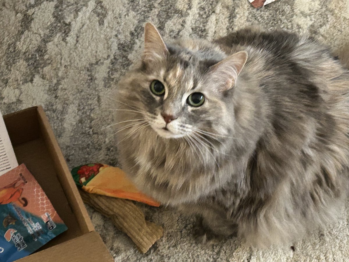 Lou Diamond Phillips tweet media