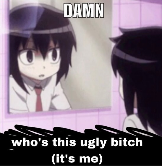 Tomoko Images (@toko_daily) on Twitter photo 