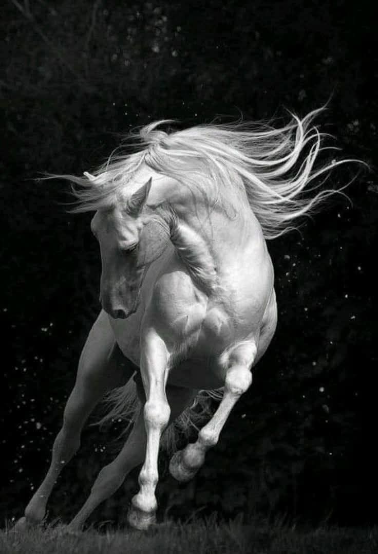 "تَظُنها امرأة لا تُبادِر
لا تبوح لا تتشبّث ولا تُجامل
امرأة يراها الكثير أنانية أو متغطرسة لكنها وحدها تعرف أنها ليست كذلك.
هي فقط مختلفة! ميزتها أنها أكثر واقعية أكثر اتزانًا لا تندفع ولا تنبهر بسهولة ولا تجرفها الأشياء العابرة
امرأة لا يُبهرها شيء 
لأنها تعرف تمامًا ما تستحق"