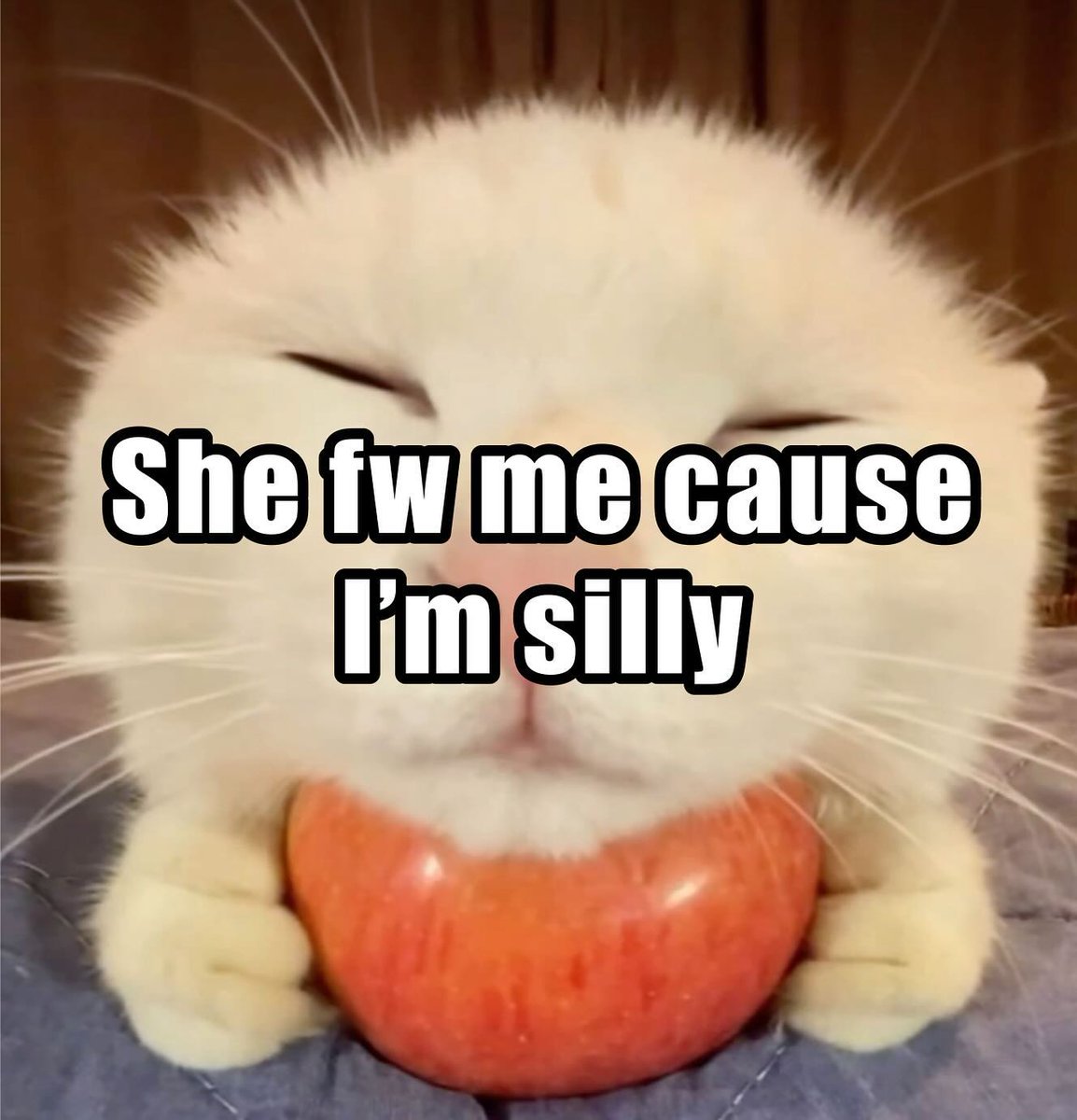 Punch Cat (@punchingcat) on Twitter photo 