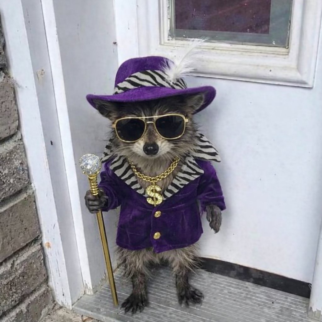 Lmao
All you need to know about your favorite KOLs is...
$Bub is running wild while there are zero of them in the chart except Loopier who dumped at 260k.
He didnt nuke it like $Murad, but slowed it run down for sure.
KOLs keep buying shitters with this runner under their noses😂