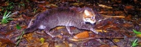 _luceris's tweet image. звідки у них фото де я спросоння в темряві повзу на кухню щоб випити склянку води🤔🤔🤔