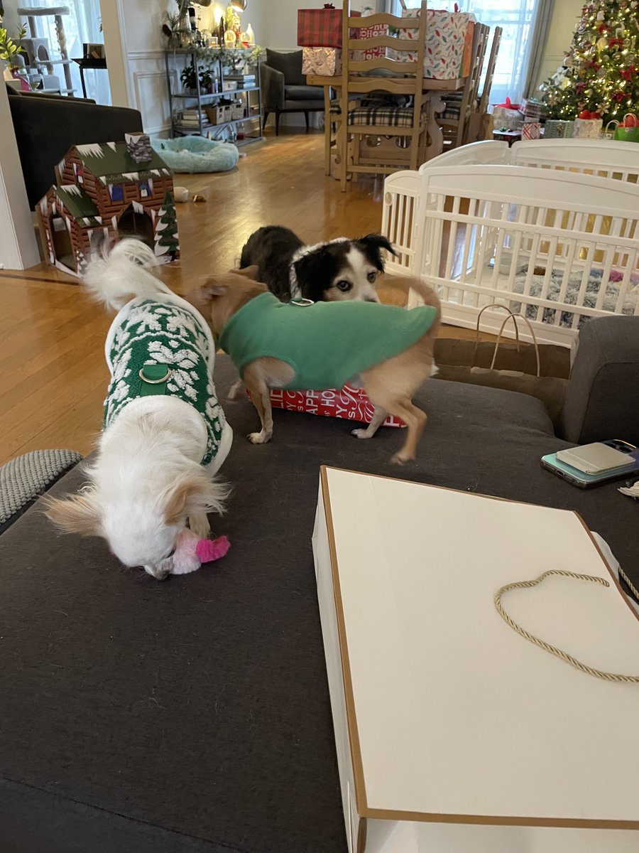 Lou Diamond Phillips tweet media