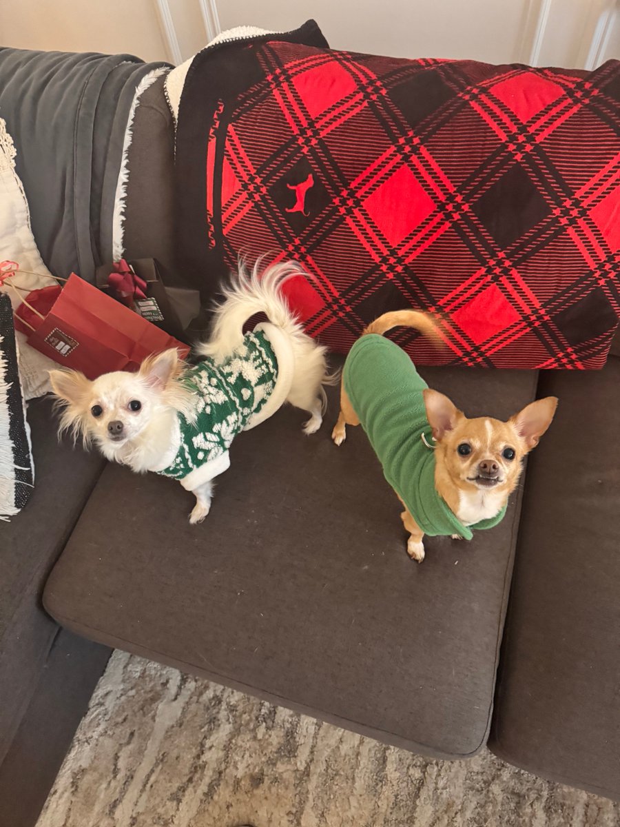 Lou Diamond Phillips tweet media