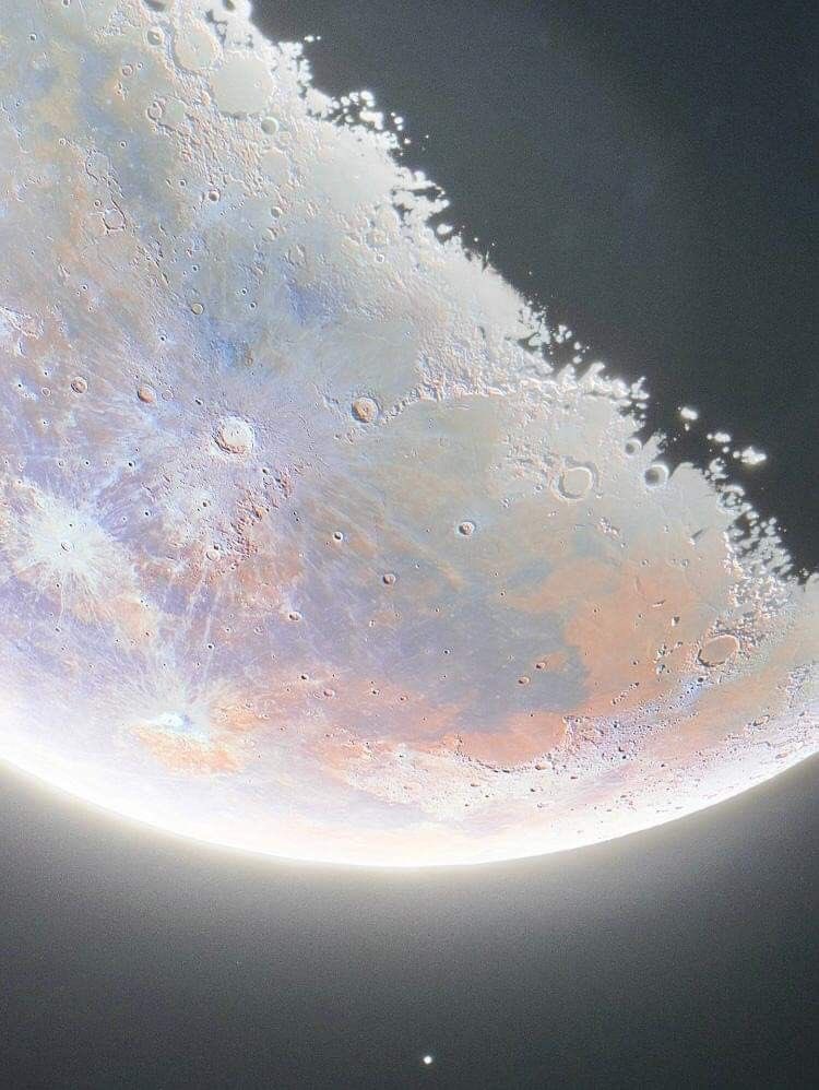 seraphicxc's tweet image. 