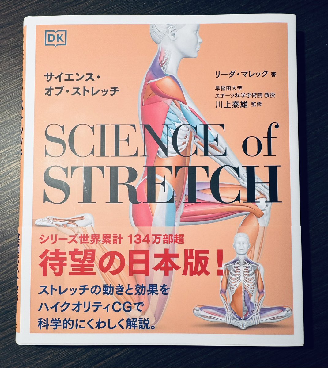 中田英一さま♡ 中田:‖ (@paddy_joy) / Posts and Replies / X