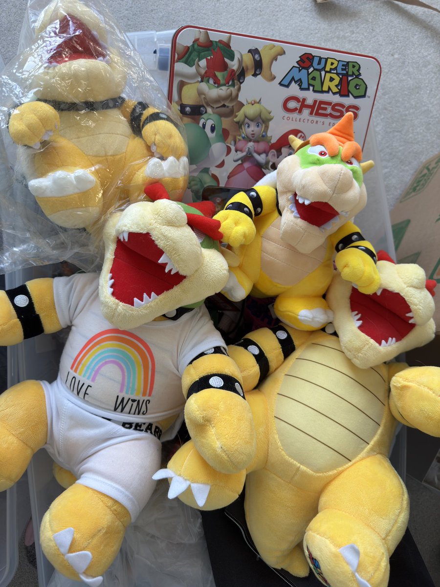 viennavtuber's tweet image. Doing some reorganizing with my mom… 

She’s asking what’s with all these dinosaurs 😭