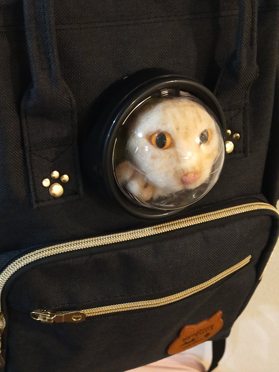 ちゃとら 🐯鉄道模型ちゃトラ🐯 (@chatora45000) / Posts / X