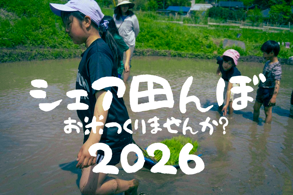 WishHouseFarm's tweet photo. 🌾シェア田んぼ2026 募集スタート！
耕作放棄地再生×自然栽培のお米づくり

種まきから全5回��収穫約20kg全部持ち帰り🍚

限定10組！

基本25,000円 
里山ステイ50,000円（5泊込み）

詳細→ https://t.co/tdTNJw2BjJ

#シェア田んぼ #自然栽培 #農的暮らし #里山体験 #農業体験 #農泊 #茨城 https://t.co/s2tGWRzriO