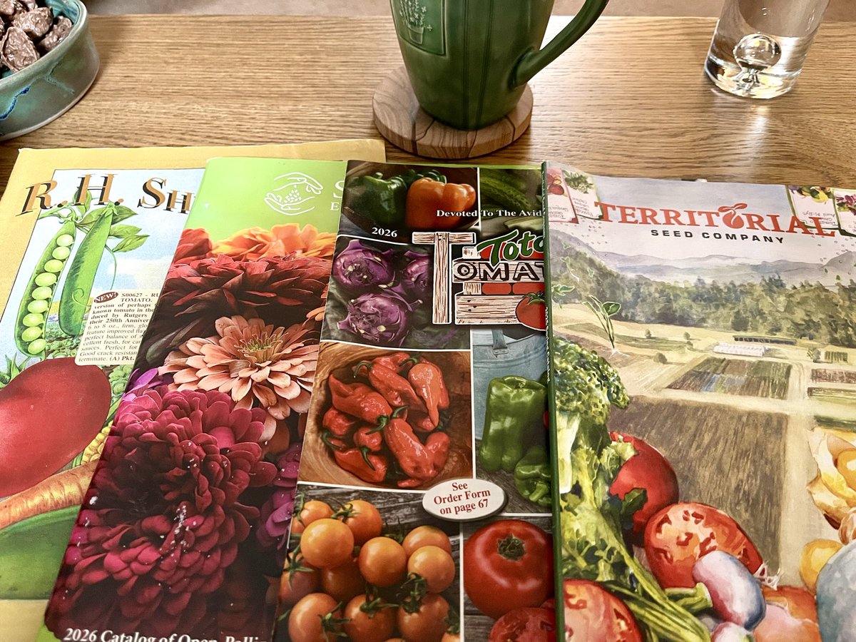 The week after Christmas is for the simple joys in life…lounging with coffee and seed catalogs.