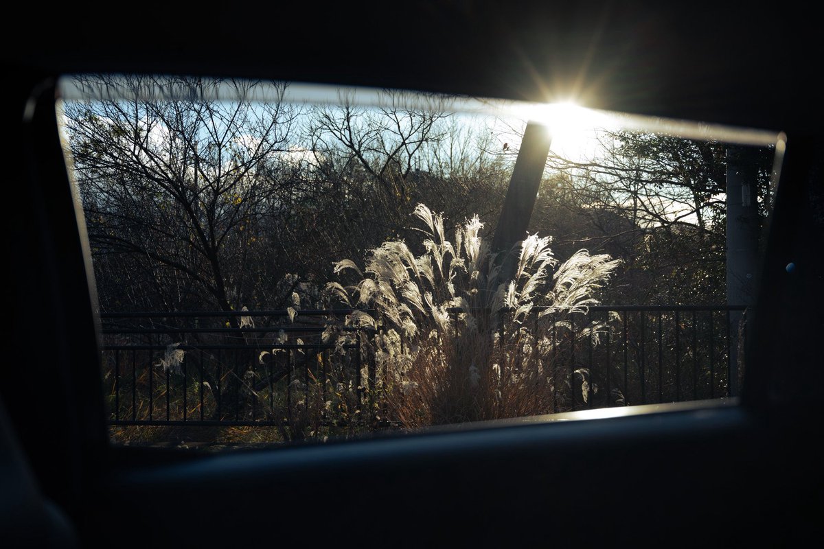 uniflr's tweet photo. 昨日 https://t.co/0Jv3Xf37R3