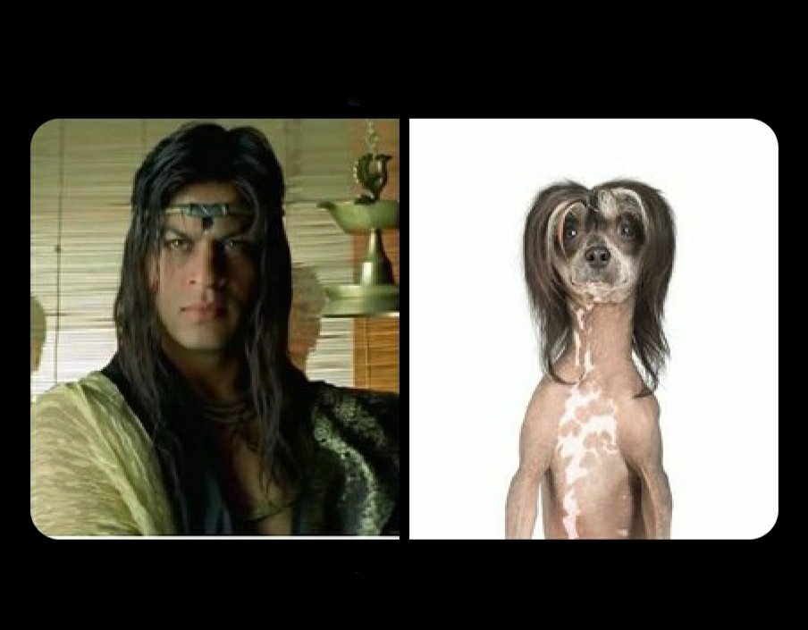 Same energy by hakla 🐖 🤣