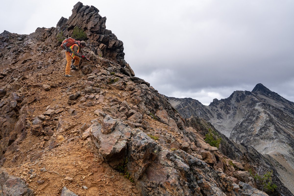 Scott Walters tweet media