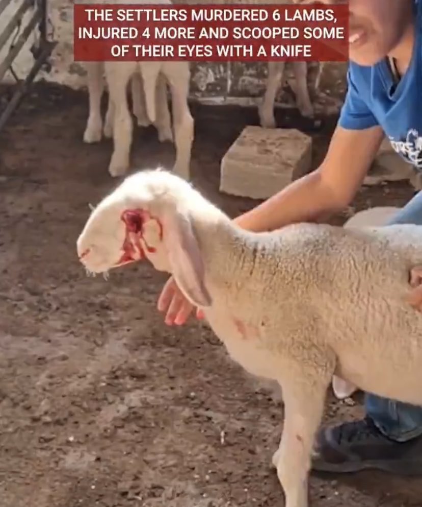 <a href="/ireallyhateyou/">B.M.</a> They keep doing this ⬇️