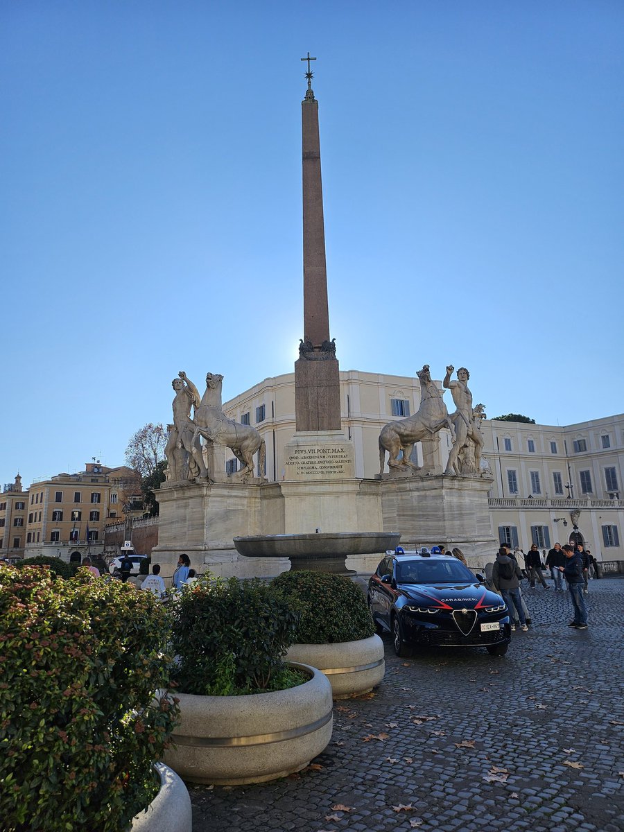 Zeus ⚡️ tweet media