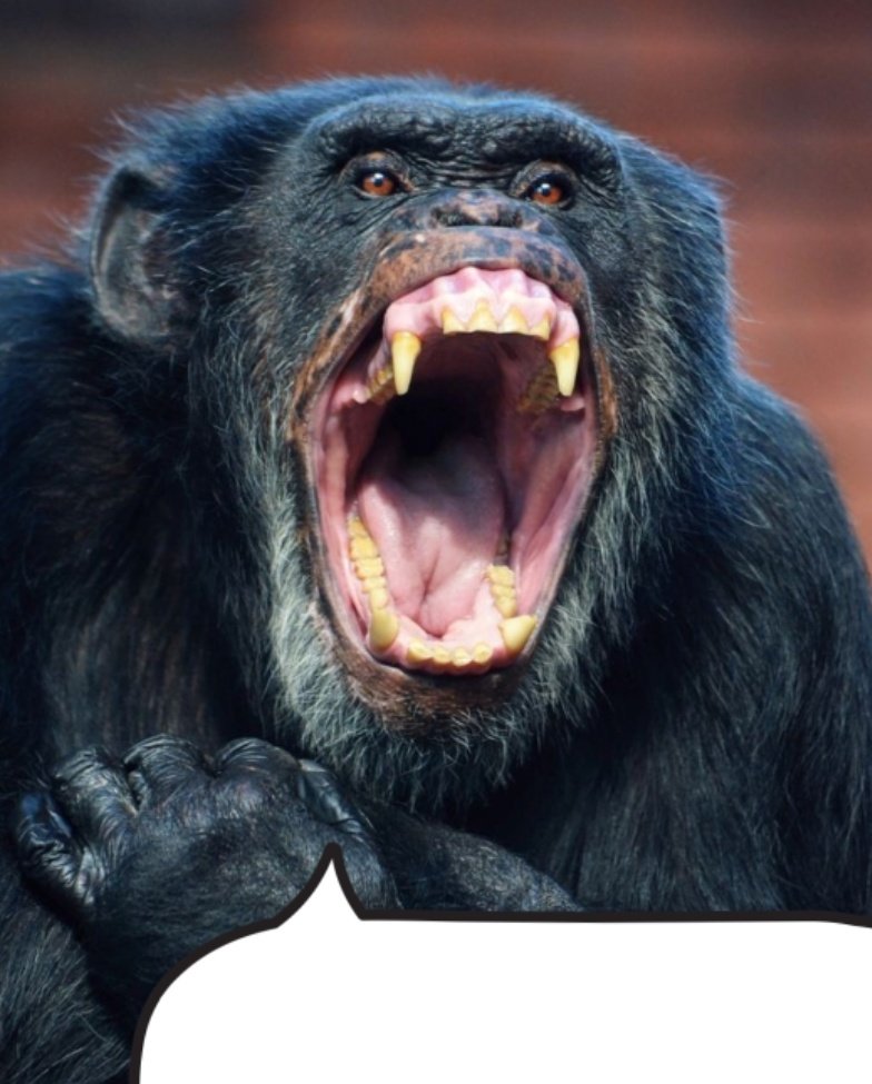 newworlder_'s tweet image. "acabou com centenas de línguas, agora a deles vai sofrer o mesmo"

&amp;gt; escrevendo em português