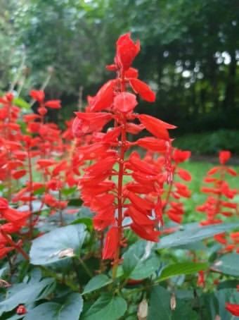 nyse_min's tweet image. 이거 좀 빨아봤던 사람들
건강검진 받으세요