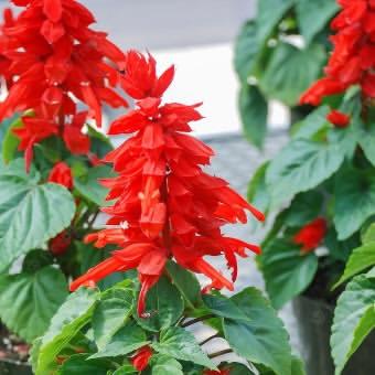 nyse_min's tweet image. 이거 좀 빨아봤던 사람들
건강검진 받으세요