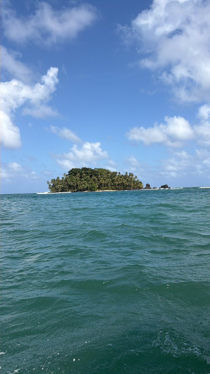 alsaco (@asahade) on Twitter photo 