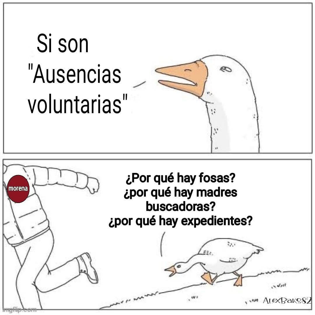 Política Z tweet media