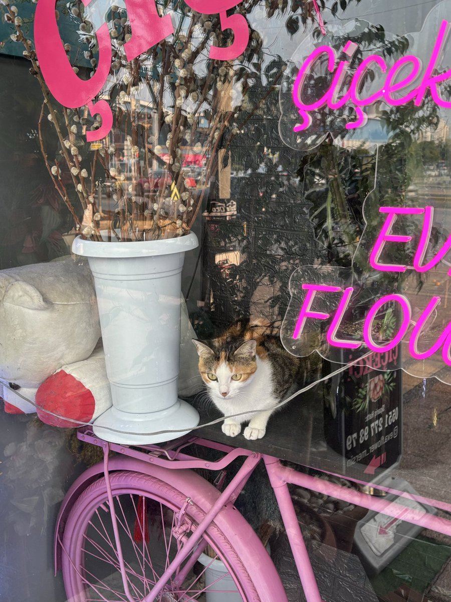 Satılık değildir !