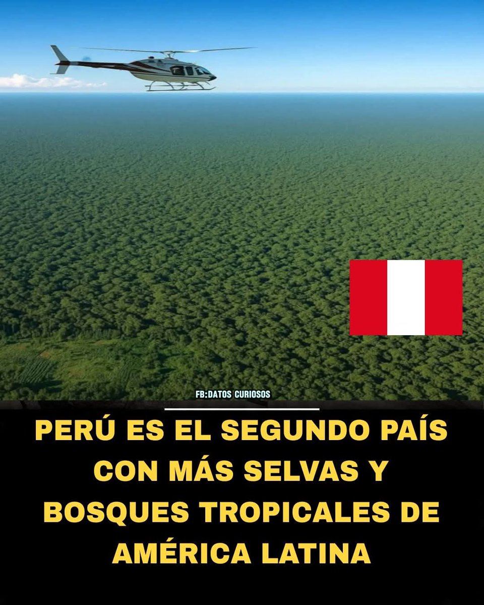 susana_bozzo's tweet image. EL SECRETO MEJOR GUARDADO DE PERÚ: UNA POTENCIA MUNDIAL VERDE 🌳🇵🇪
​Olvídate de las montañas por un momento: Perú es, ante todo, selva. Con más del 60% de su territorio cubierto de bosques tropicales, es oficialmente el segundo país con más Amazonía en toda Latinoamérica.