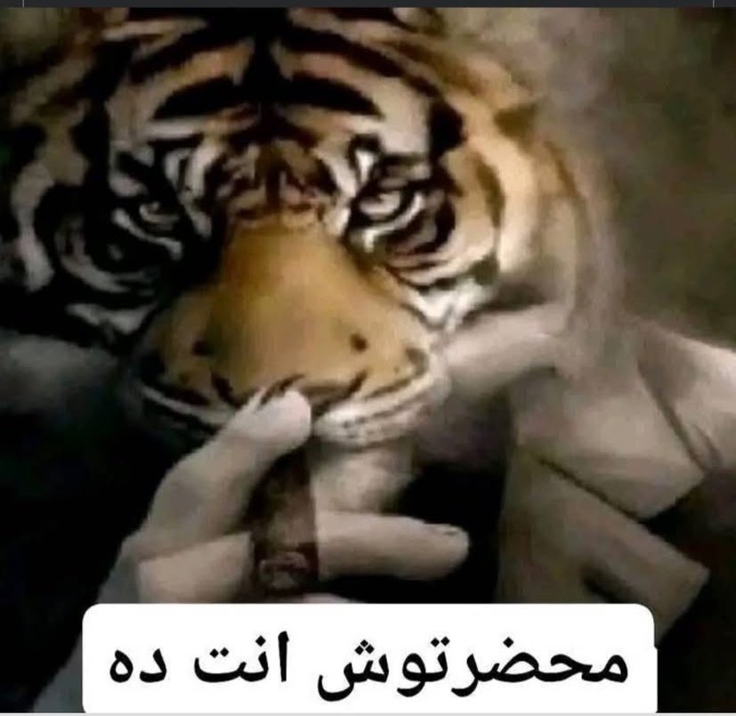 هيدرو ملفوف في سجاره كيلوبترا (@usvf_) on Twitter photo 